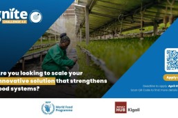 The IGNITE Challenge 4.0